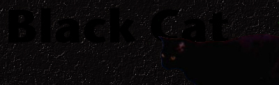 Black Cat banner